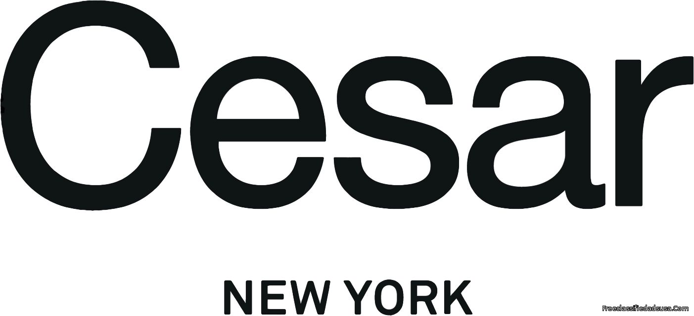 White High Gloss Kitchen Cabinets - Cesar Kitchens