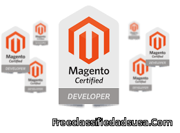 Hire Dedicated Magento Developers