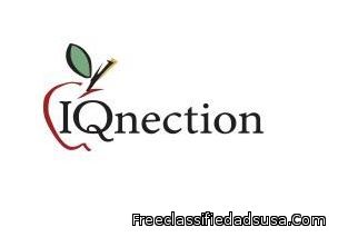 IQnection Web Design & Marketing