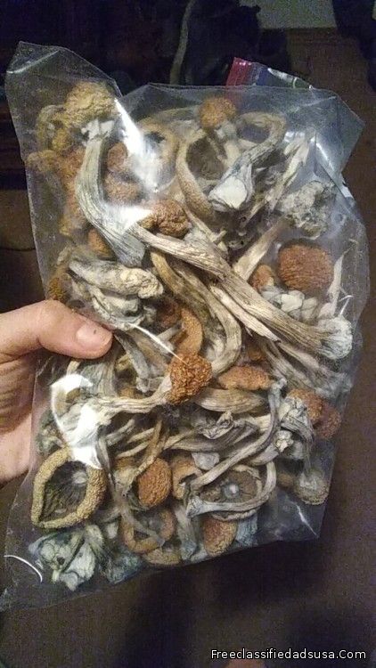 Buy magic mushrooms with tracking number